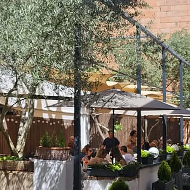 Tables autour des oliviers